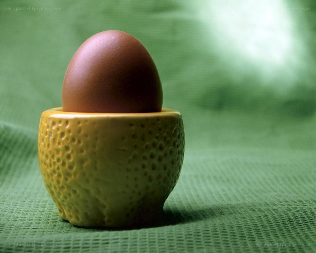 brown egg in yellow holder