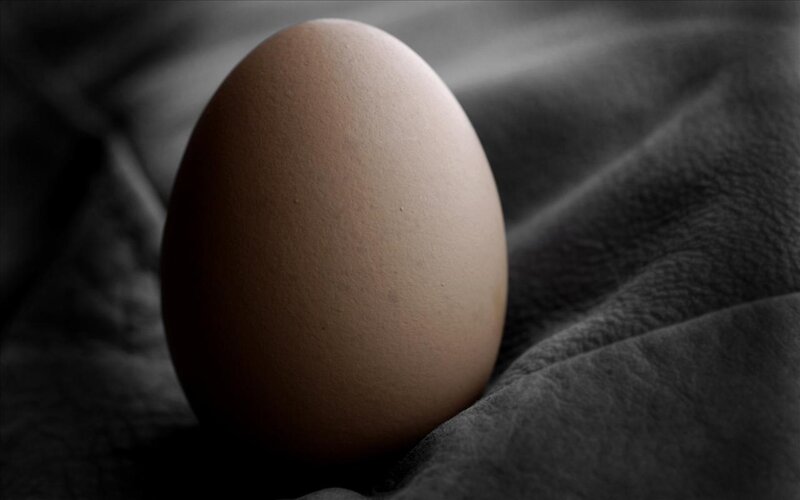 Brown Egg on Fabric — Dramatic