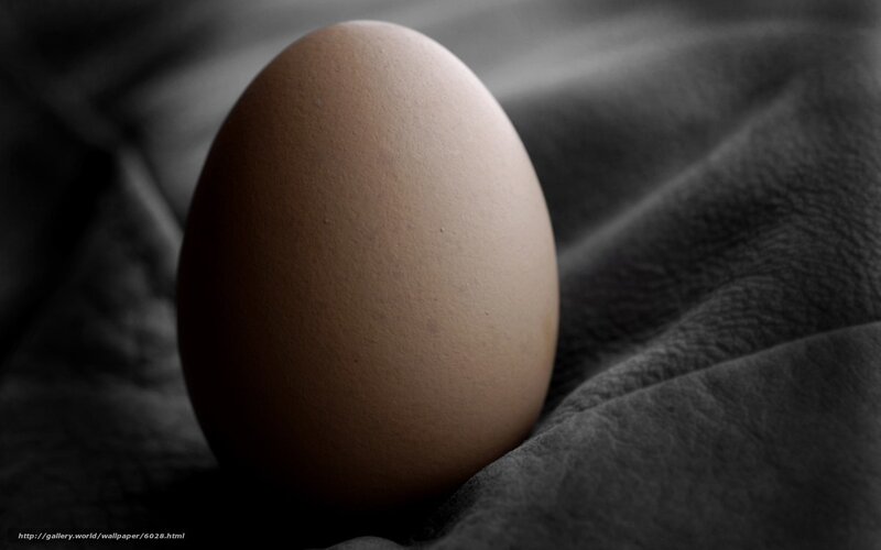 brown egg on fabric