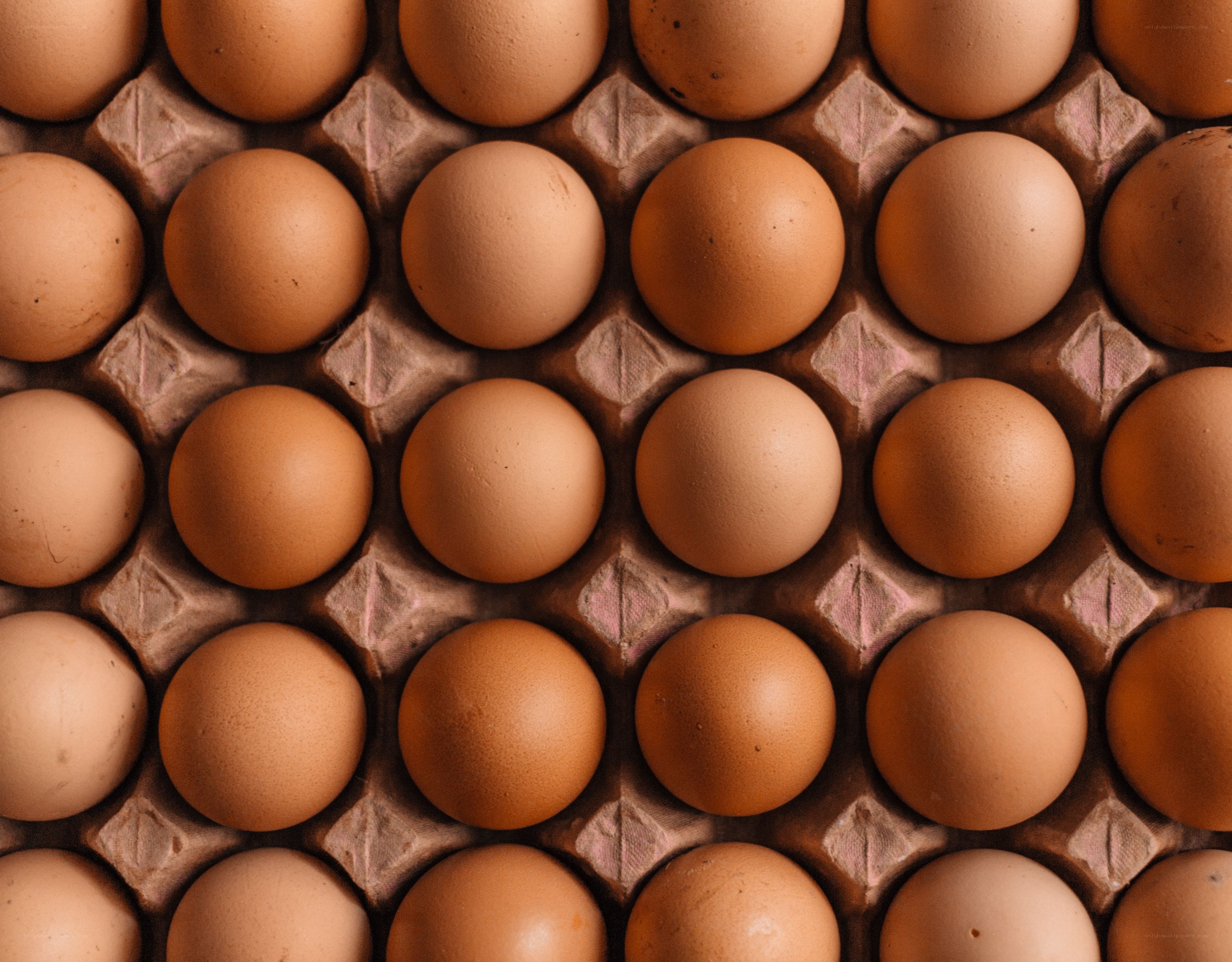 brown eggs in carton