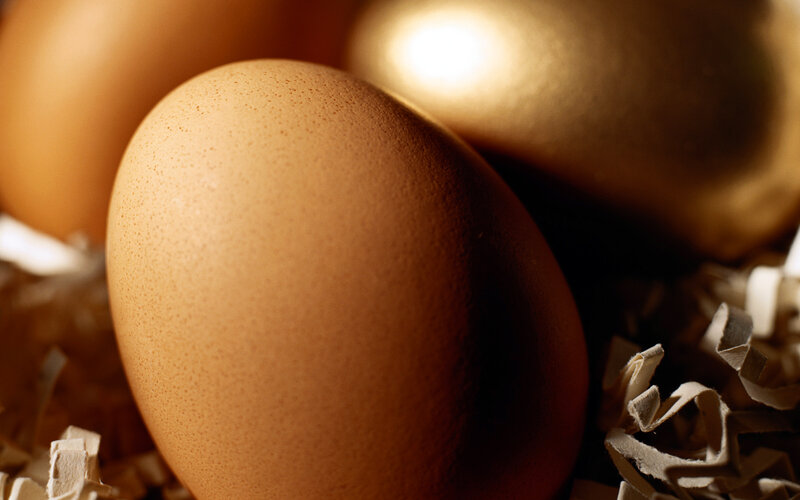 Brown Eggs in Nest