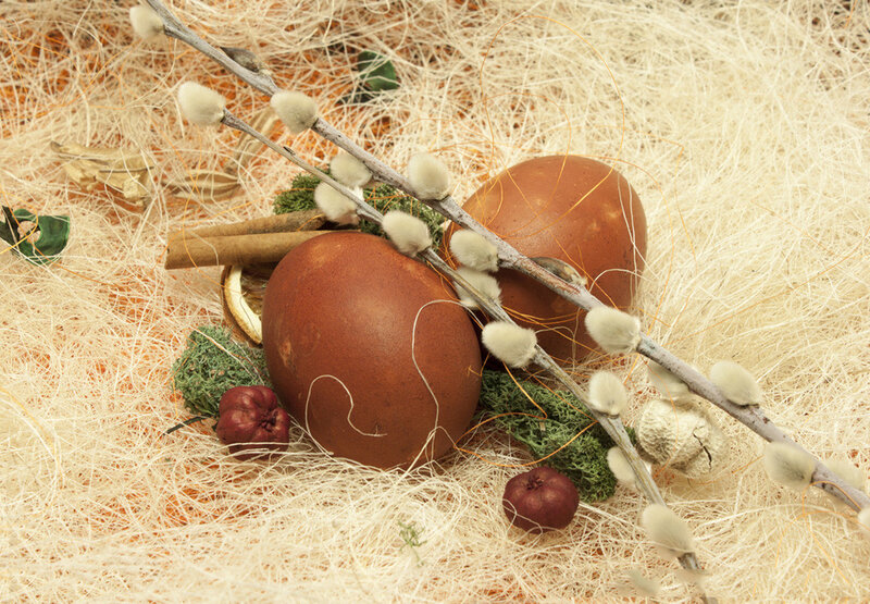 Brown Eggs with Willow Branches