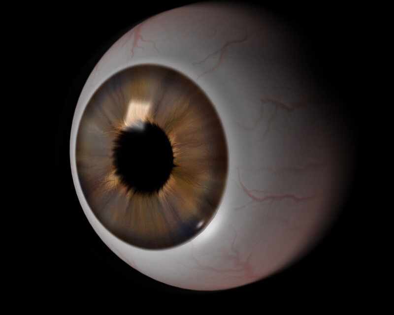Brown Eye Close-up