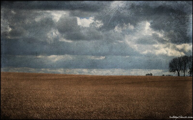 Brown Field under Cloudy Sky