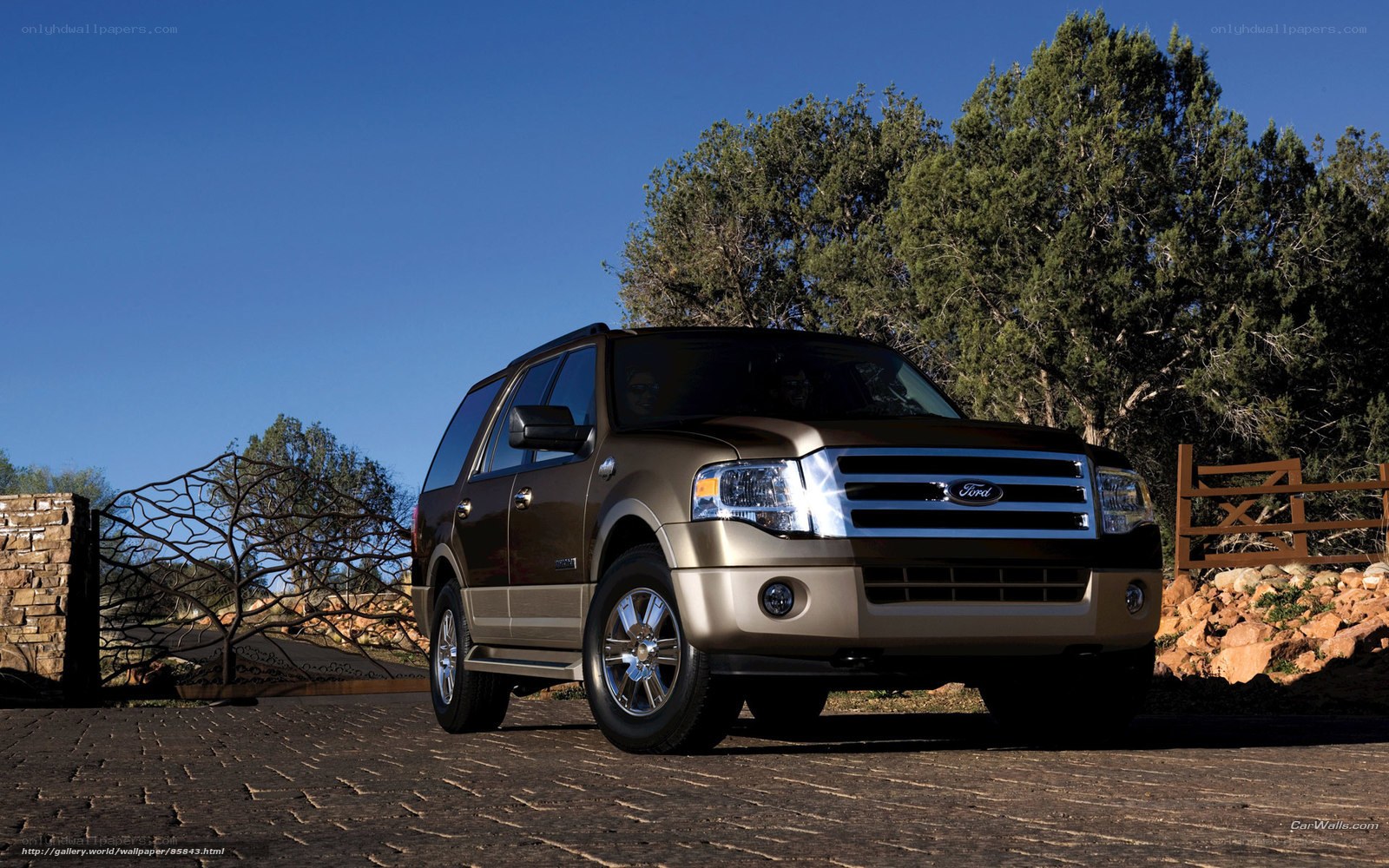 Brown Ford Expedition SUV