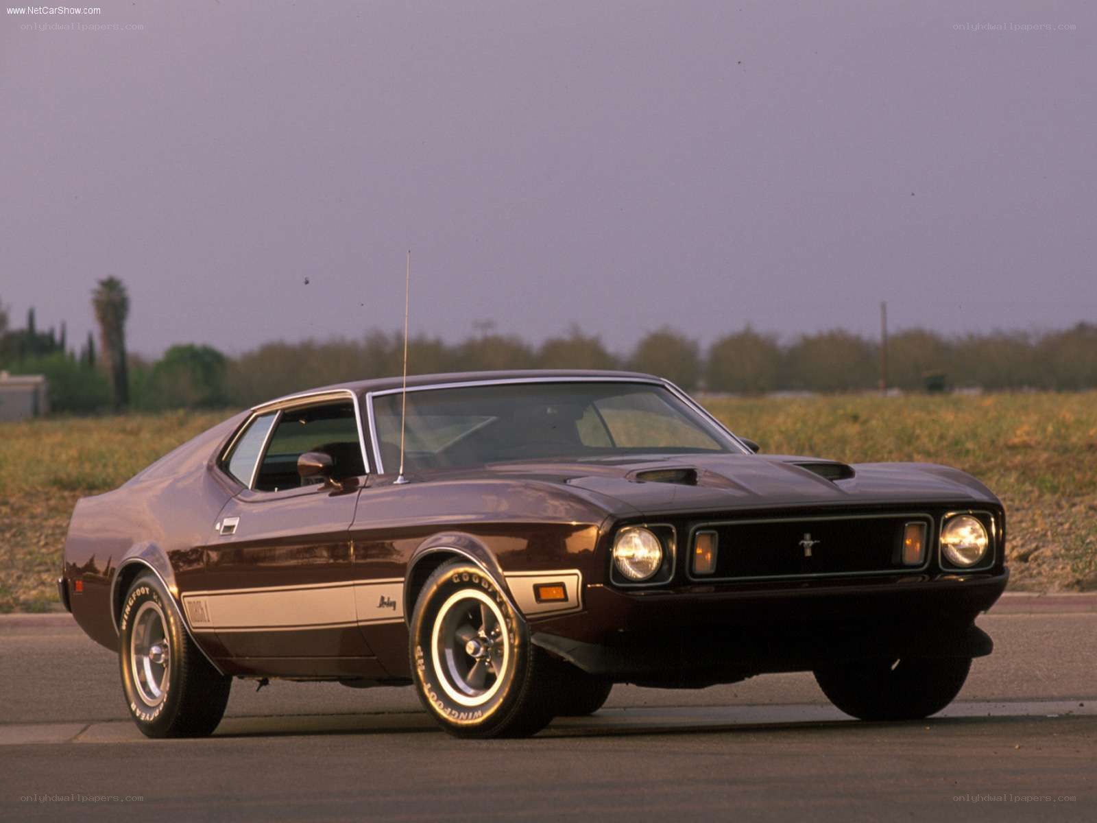 Brown Ford Mustang Mach 1