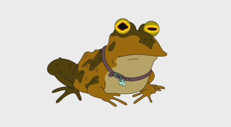 Brown Frog with Collar