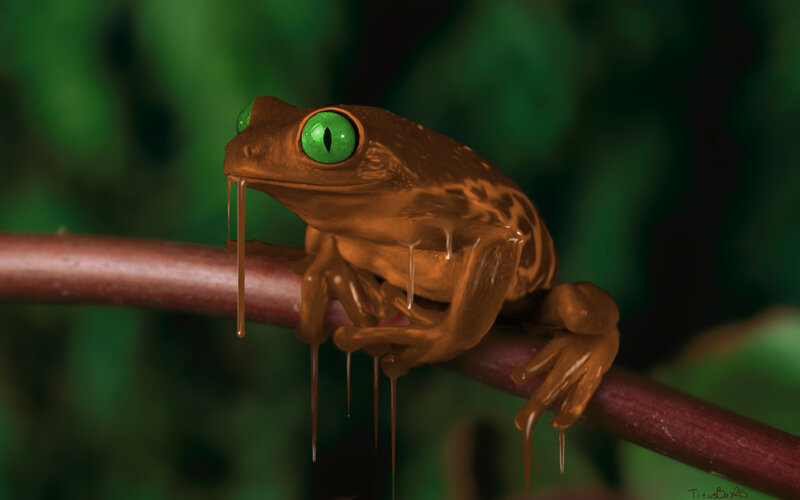 Brown Frog with Green Eyes