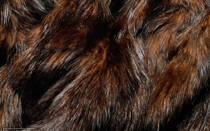 Brown Fur Texture — Neutral