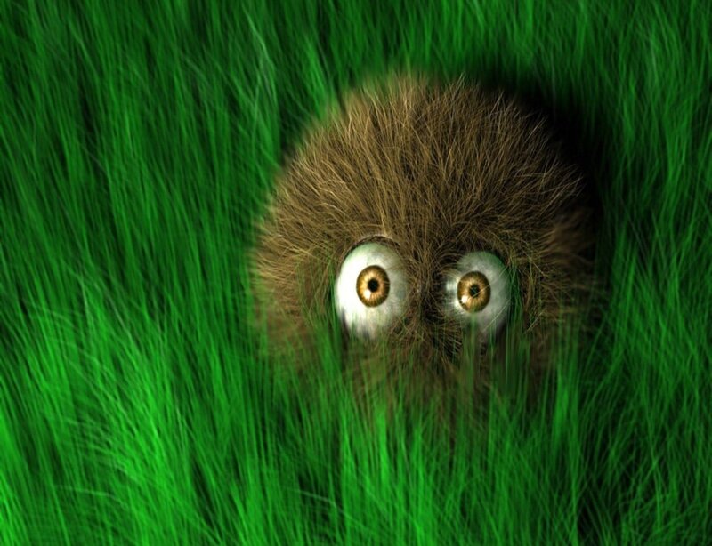 Brown Furry Creature