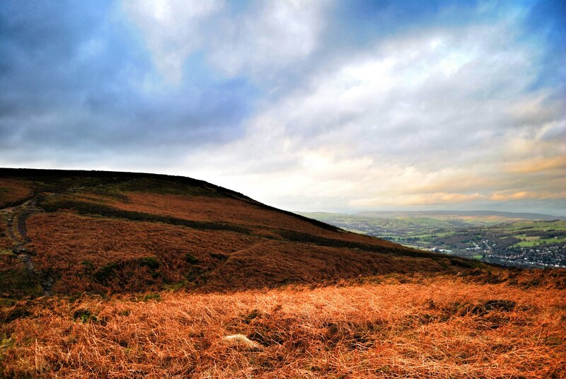 Brown Grassy Hillside
