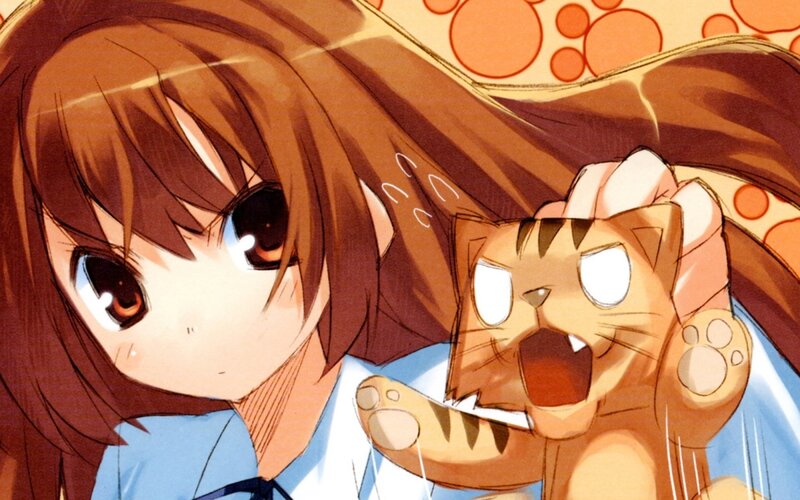 Brown-haired Girl Holding Cat