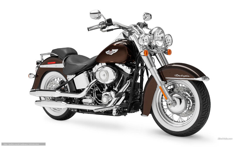 Brown Harley-davidson Motorcycle — Neutral, Photograph