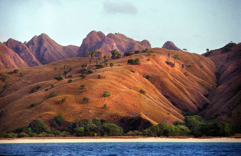 Brown Hills by Sea