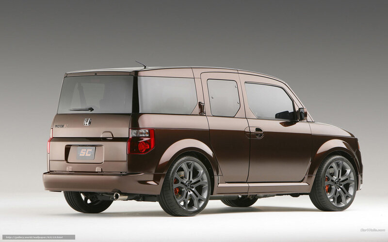 Brown Honda Element SC