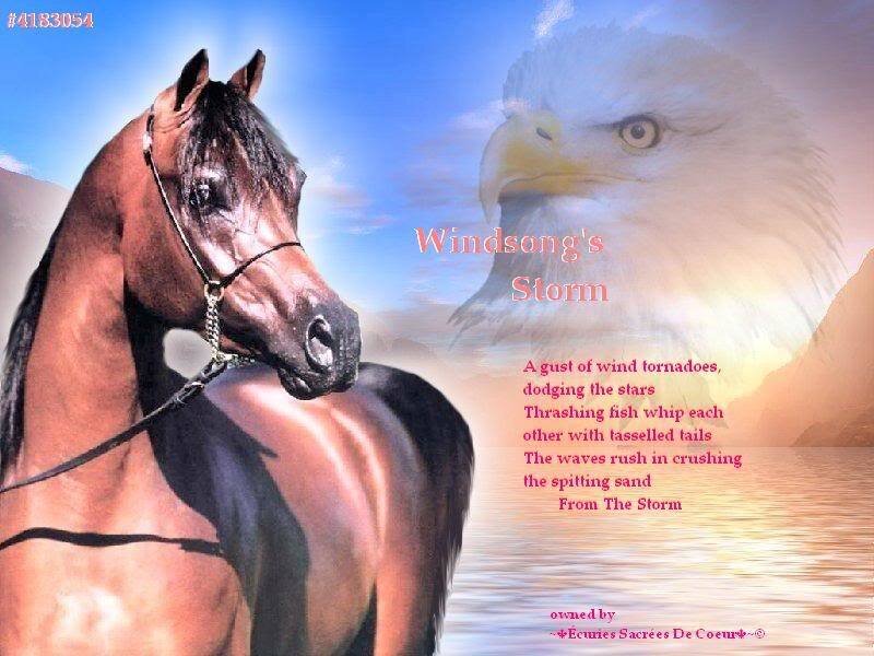 Brown Horse and Eagle