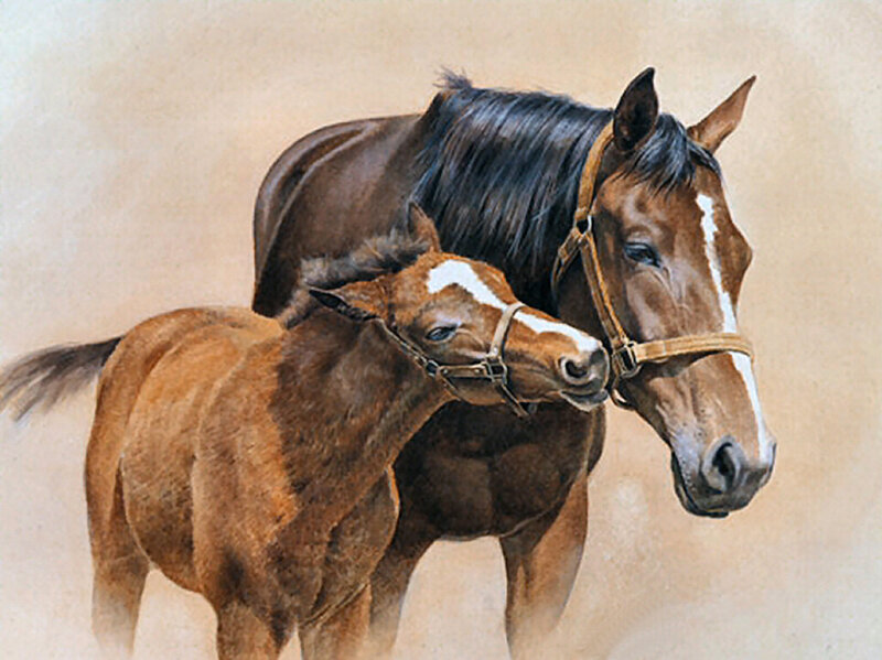 Brown Horse and Foal — Calm, Painting