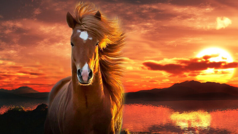 Brown Horse at Sunset — Orange, Dramatic, Digital Art