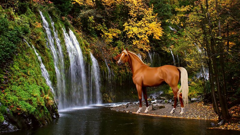 Brown Horse by Waterfall