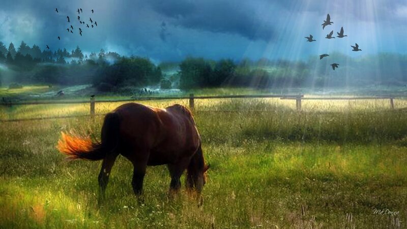 Brown Horse Grazing — Green, Dramatic, Morning