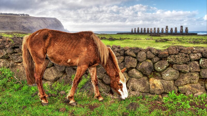 Brown Horse Grazing — Green, Serene, Afternoon, Photograph, Stone Wall