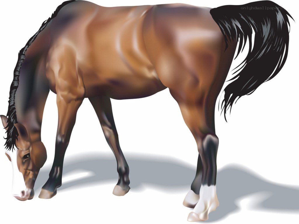 brown horse grazing