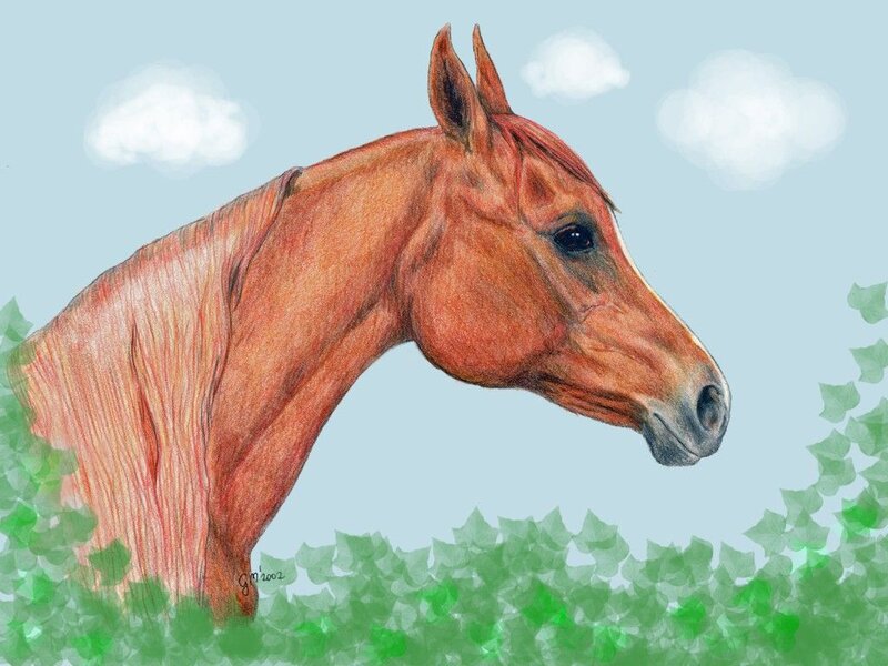 Brown Horse Head — Blue