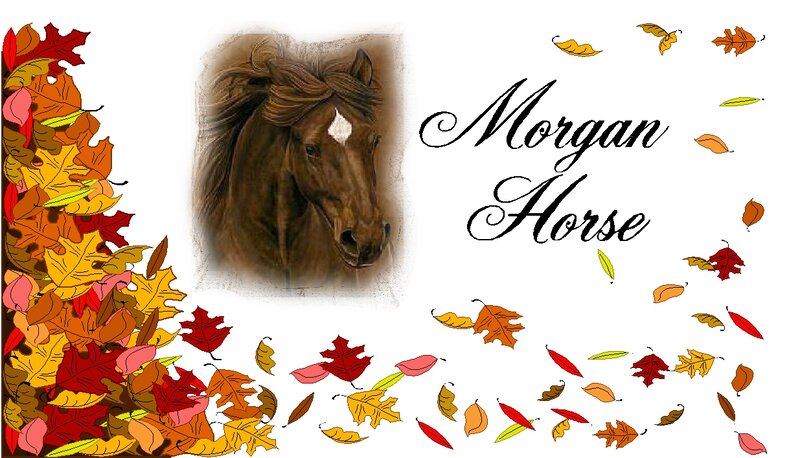 Brown Horse Head — Calm, Autumn