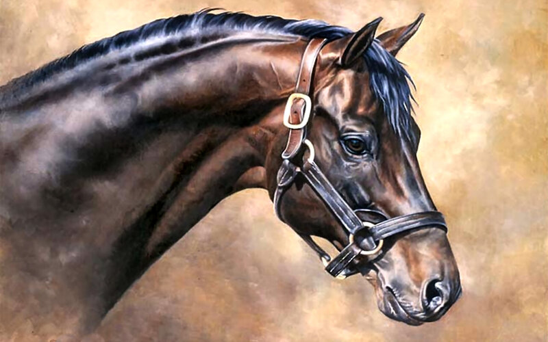 Brown Horse Head — Calm, Painting, Bridle, Mane