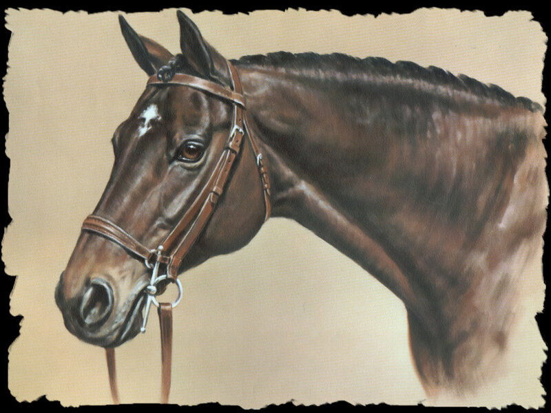 Brown Horse Head — Calm, Painting