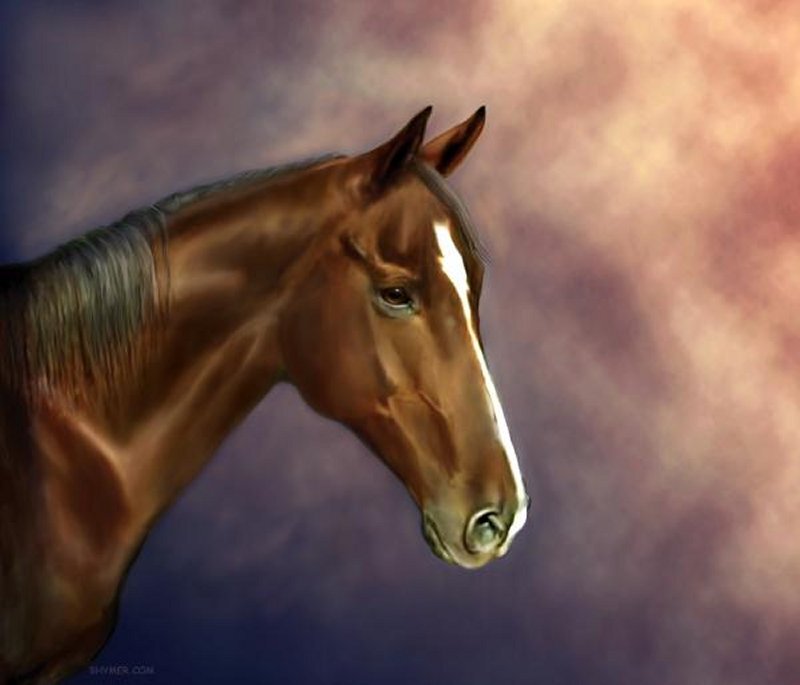 Brown Horse Head — Dramatic, Digital Art