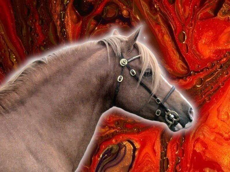 Brown Horse Head — Red