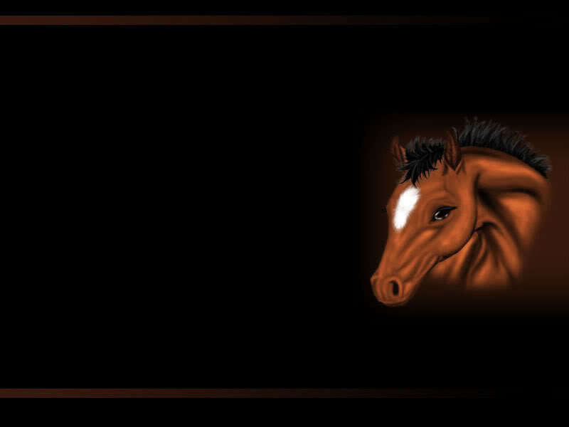 Brown Horse Head