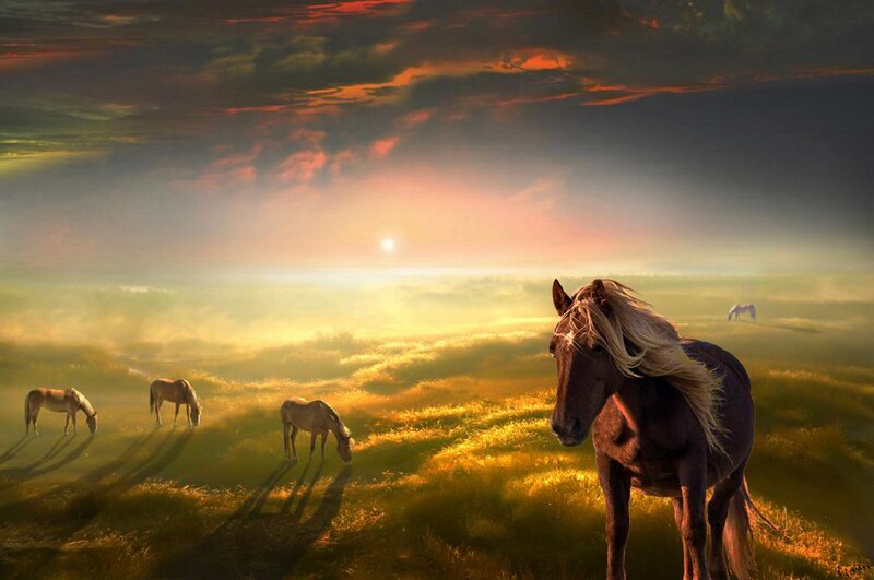 Brown Horse in Field — Gold