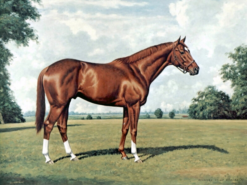 Brown Horse in Field — Serene, Afternoon