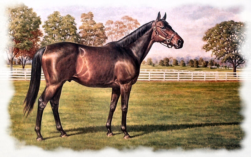 Brown Horse in Field — Serene, Autumn, Painting