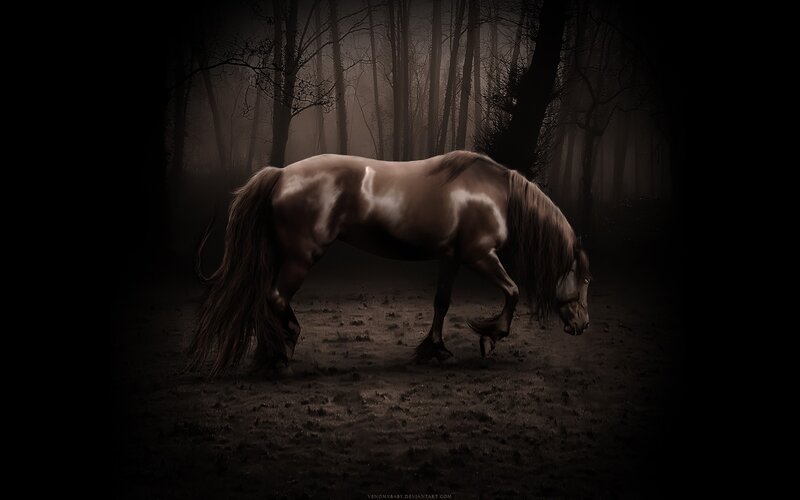 Brown Horse in Forest — Dramatic, Night, Digital Art