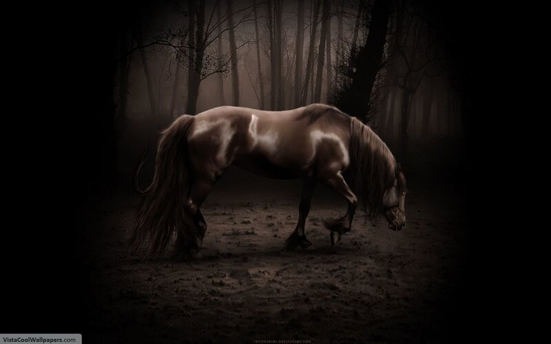 Brown Horse in Forest — Dramatic, Night