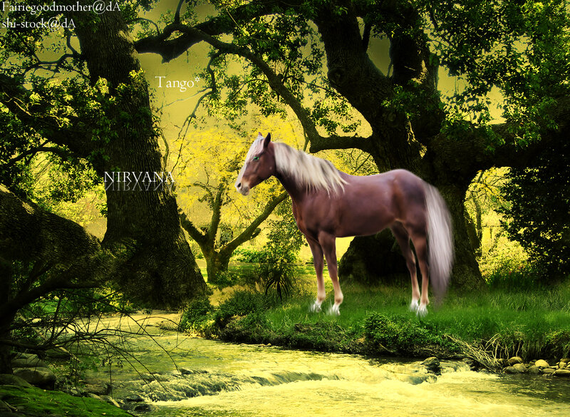 Brown Horse in Forest — Green