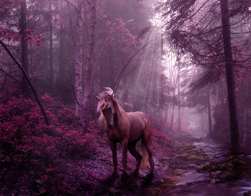 Brown Horse in Forest — Purple, Mystical