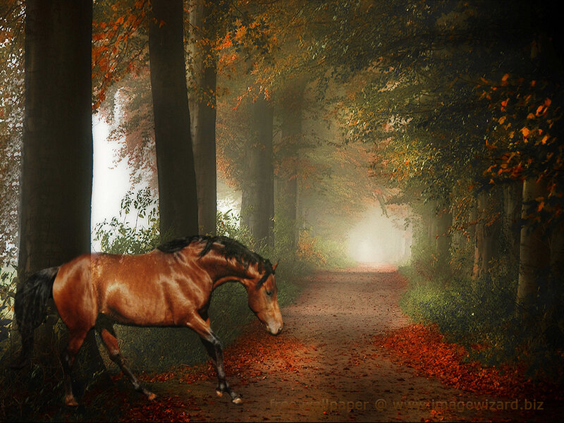 Brown Horse in Forest — Serene