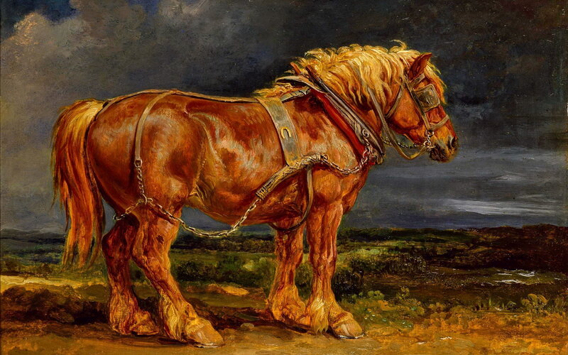 Brown Horse in Harness — Dramatic, Painting