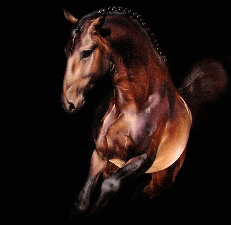 Brown Horse in Motion — Dramatic