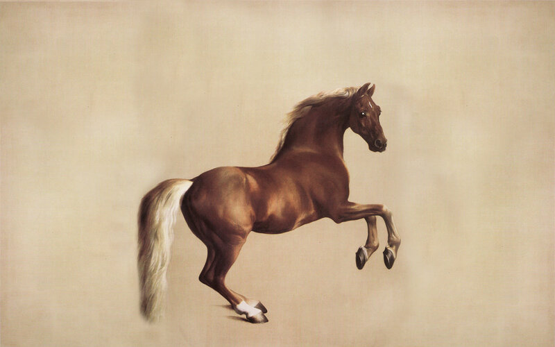 brown horse in motion