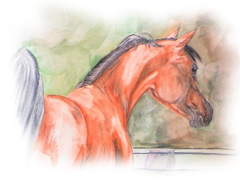 Brown Horse in Profile — Calm, Painting