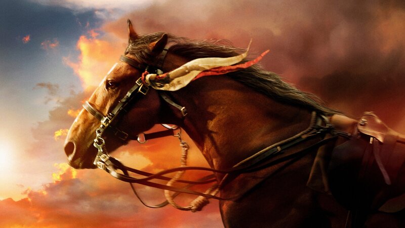 Brown Horse in Profile — Orange