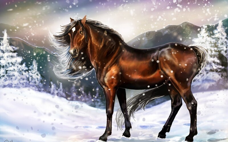 Brown Horse in Snow — Dramatic, Winter