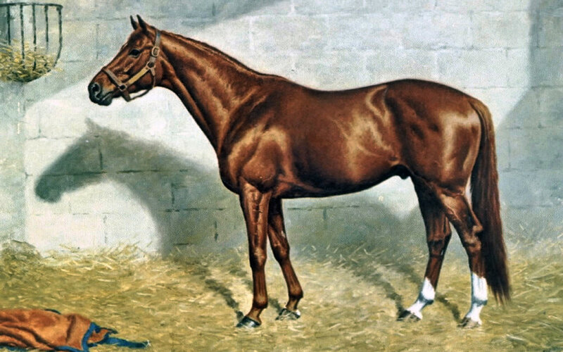 Brown Horse in Stable — Calm, Painting, Stable Wall