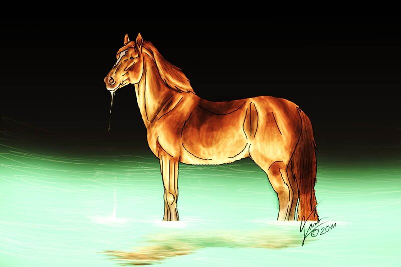 Brown Horse in Water — Dramatic