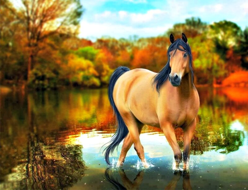 Brown Horse in Water — Serene